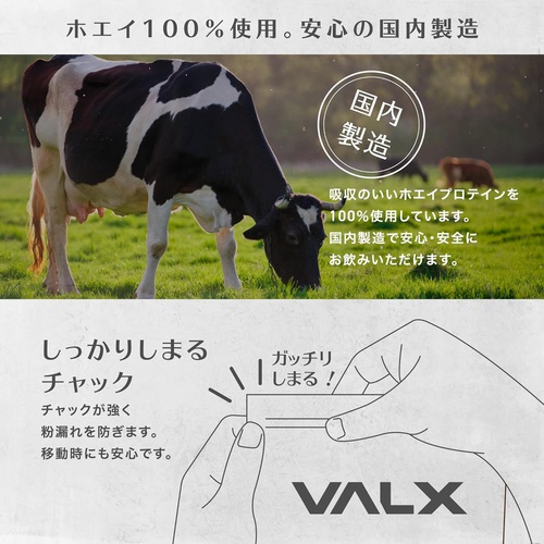 VALX 유청 단백질 카페오레 맛 420g