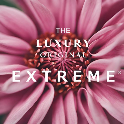  THE LUXURY ORIGINAL EXTREME 샴푸 AG 1000㎖ +트리트먼트 SILKY 1000g 리필