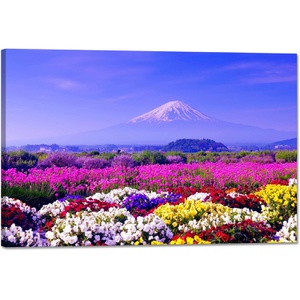 YIOZHAOFH 후지산 벚꽃 아트 패널 백운화 30x40cm 인테리어 용품