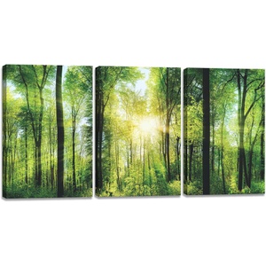 YIOZHAOFH 산림포스터 나무 태양아트 패널 3장 30x40cm 자연풍경