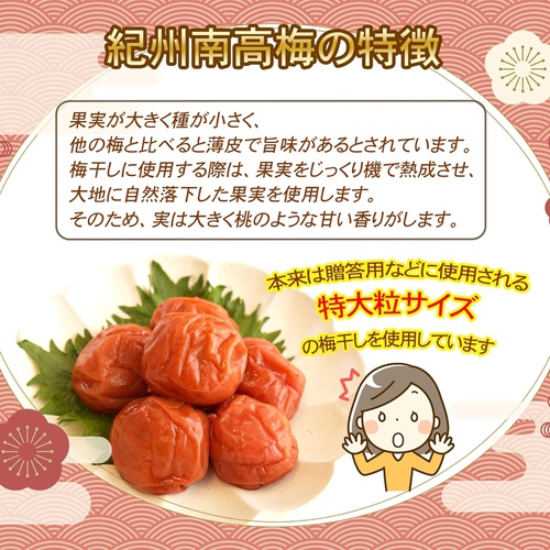  에이어시스트 기슈 난코우메 매실 장아찌 염분 10% 450g 2팩 일본 우메보시 