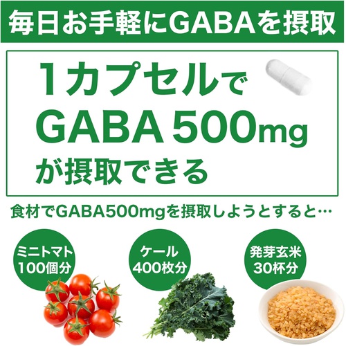  서플리크래프트 GABA 서플리먼트 100캡슐