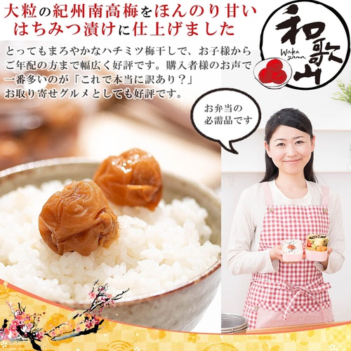  매실해물 굵은 알 매실장아찌 저염 달다 꿀맛 염분 5% 400g 2개 일본 우메보시 