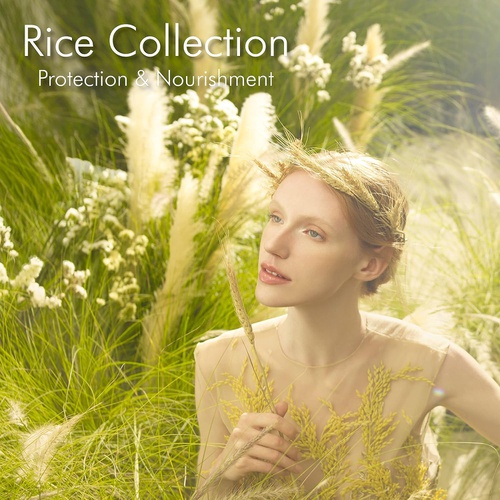  THANN 모이스춰라이징 크림 Rice Collection 80g