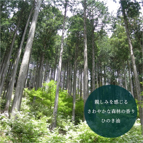  INSCNET 요시노히노키 10ml 편백나무 에센셜 오일