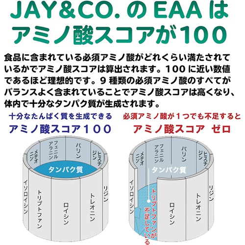  JAY&CO 아미노산 스코어 100 ALL 9EAA 필수 아미노산 9종 함유 노플레이버 200g