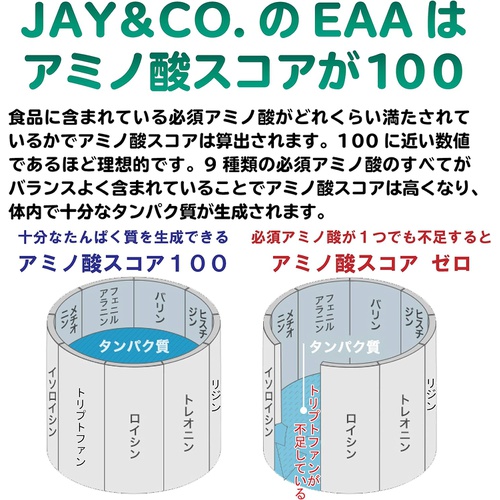  JAY&CO ALL9 EAA 필수 아미노산 9종 배합 500g