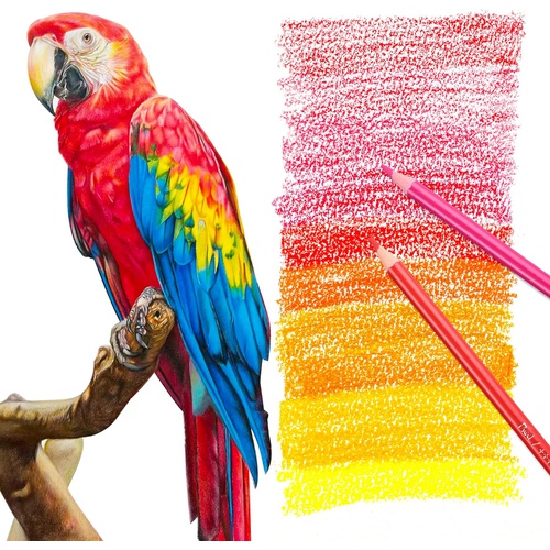  HIFORNY 55개팩 색연필 성인용 색칠 공부용 아티스트 소프트코어